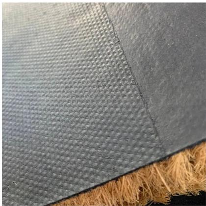 Imagem de Kit 2 Capacho Fibra Natural de Coco Bem Vindo Azul