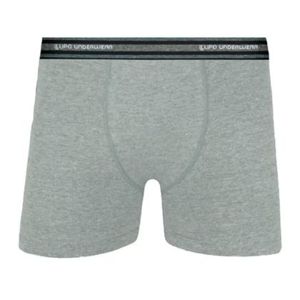 Imagem de Kit 2 cuecas lupo boxer ref:0523 masculino
