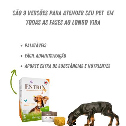 Imagem de Kit 2 Entrin Dog Suplemento Vitamínico Cães Botupharma 210g
