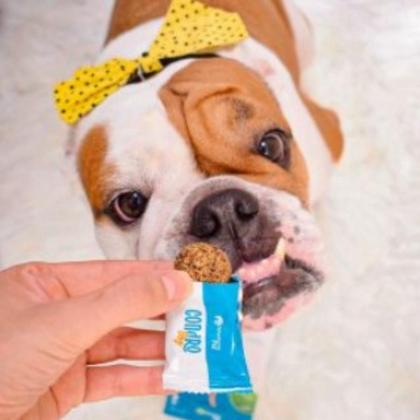 Imagem de Kit 2 Entrin Dog Suplemento Vitamínico Cães Botupharma 210g