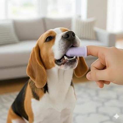 Imagem de Kit 2 Escovas de dentes PET Higiene cães e gatos 360º Pet Toothbrush