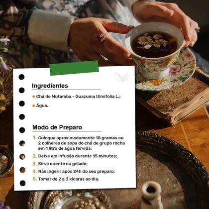 Imagem de Kit 2 Pct Chá De Mutamba - Guazuma Ulmifolia L. - 100G