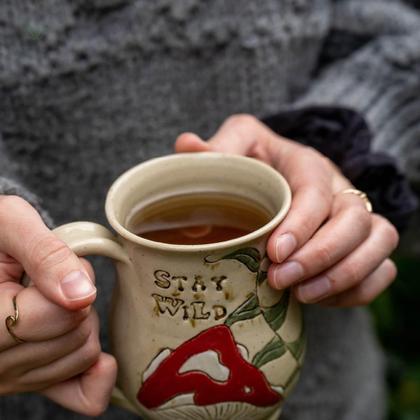 Imagem de Kit 2 Pct Chá De Mutamba - Guazuma Ulmifolia L. - 100G