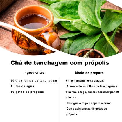 Imagem de Kit 2 pct Chá de Tanchagem - Plantago Major L. - 100g cada