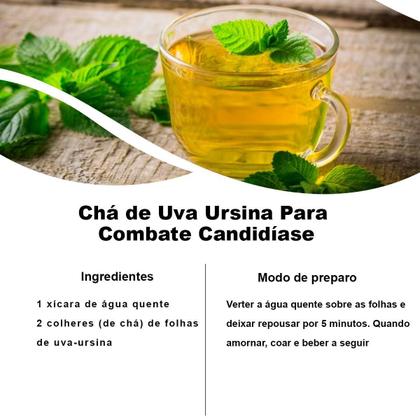 Imagem de Kit 2 Pct Chá De Uva Ursi - Arctostaphylos Uva Ursi - 100G