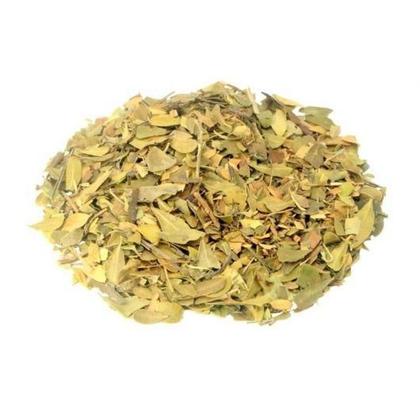 Imagem de Kit 2 Pct Chá De Uva Ursi - Arctostaphylos Uva Ursi - 100G