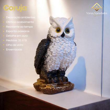 Imagem de Kit 2 Peças Àguia Gavião Parede e Coruja Espanta Pombo Pardal Jardim Fazenda Envernizado AVB DECOR