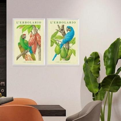 Imagem de Kit 2 Quadros Botânicos Araras Tropicais 45X34Cm - Com Vidro