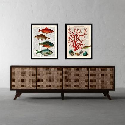 Imagem de Kit 2 Quadros Casa De Praia- Peixes e Alga 33x24cm - com vidro