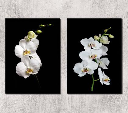 Imagem de Kit 2 Quadros Fotografia Orquídeas Brancas 33x24cm