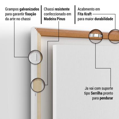 Imagem de Kit 2 Quadros Tela Canvas Fada Borboleta Preto Branco Quarto