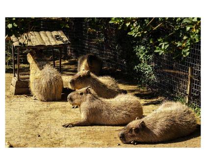 Imagem de Kit 2 Quebra-Cabeças Animais Capivaras De 60 Peças