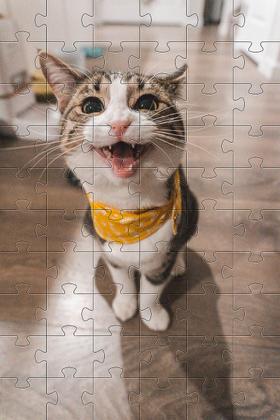 Imagem de Kit 2 Quebra-cabeças Cognitivos Gatinhos de 60 peças