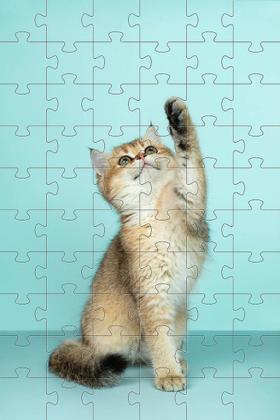 Imagem de Kit 2 Quebra-cabeças Cognitivos Gatinhos de 60 peças