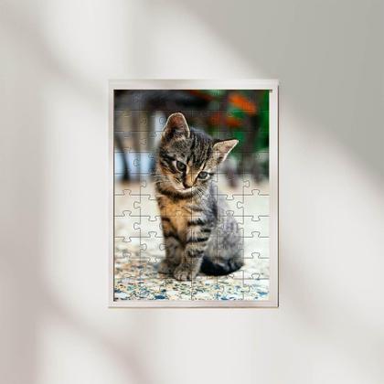 Imagem de Kit 2 Quebra-Cabeças Cognitivos Gatos 60 Peças