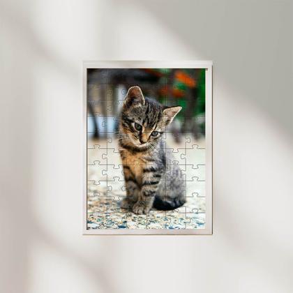 Imagem de Kit 2 Quebra-Cabeças Cognitivos Gatos 60 peças