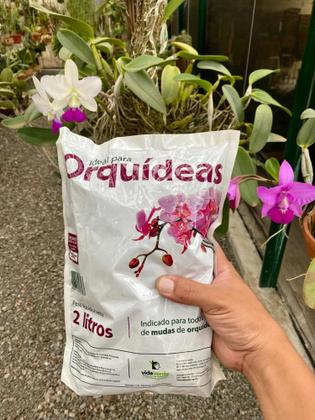 Imagem de Kit 2 Substrato Orquideas - Mix De Pinus Carvão E Coco