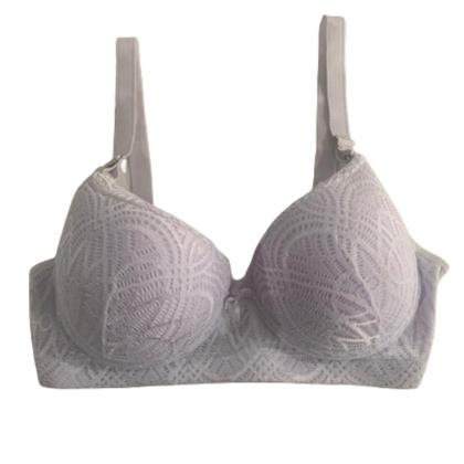 Imagem de Kit 2 Sutiã De Renda Plus Size Com Bojo Feminino Sustentação Conforto Com Aro Alça Grossa Reforçado