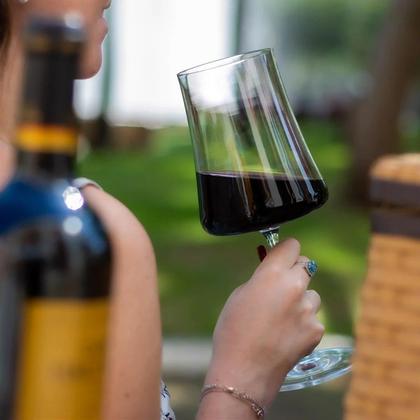 Imagem de Kit 2 Taças de Vinho Branco Cristal Bohemia 360ml Linha Xtra