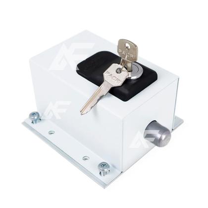 Imagem de Kit 2 Travas P/ Portão Eletrônico Alta Performance Dog Steel Custom + Módulo Relé