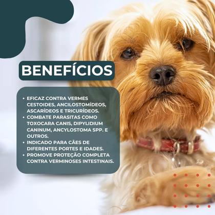 Imagem de Kit 2 unidades - chemital plus caixa com 4 comprimidos 