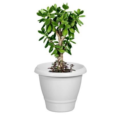 Imagem de Kit 2 Vaso 21,5 Litros Grande Marmorizado Para Plantas Flores Jardim P101 Plasnew