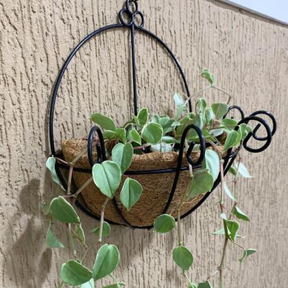 Imagem de Kit 2 Vaso De Parede de Fibra de Coco Para Plantas e Flores 30cm 