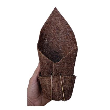 Imagem de Kit 2 Vasos Fibra de Coco Para Pendurar Orquídeas em Árvore Vaso pendente com suporte cachepô suculentas e flores