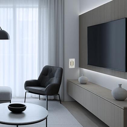 Imagem de Kit 20 Interruptor Simples Horizontal 10a/250v Cinza Pial