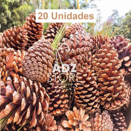 Imagem de Kit 20 Pinha Natural para Artesanato Decoração Enfeite Natal Animais Roedores como Chinchila Coelho outros