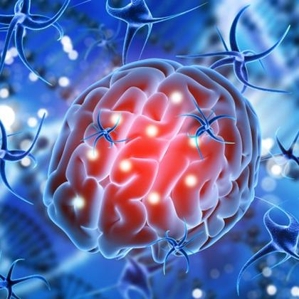 Imagem de Kit 2x Magnésio L Treonato Puro Concentrado 120 Cápsulas 600mg Flora Nativa do Brasil