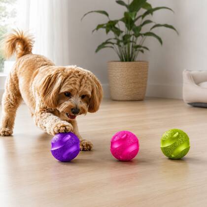 Imagem de Kit 3 Bolas Cães Slim Ball 40mm 4cm Brinquedo Pet Cão