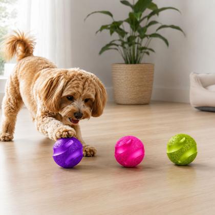 Imagem de Kit 3 Bolas Cães Slim Ball 50mm 5cm Brinquedo Pet Cão