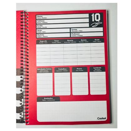 Imagem de Kit 3 Cadernos C/D 1 Matéria Zico 80fls Time Flamengo Pôster