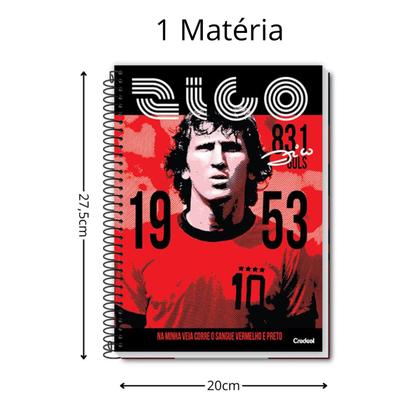 Imagem de Kit 3 Cadernos C/D 1 Matéria Zico 80fls Time Flamengo Pôster
