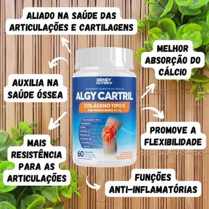 Kit 3 Colágenos Tipo II Não Hidrolisado 40 mg + Vitaminas Algy Cartril ...