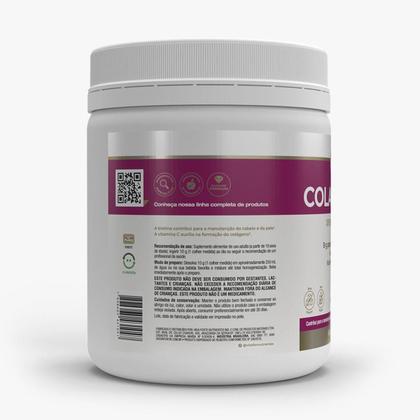 Imagem de Kit 3 Colagentek Vitafor 300G Cranberry