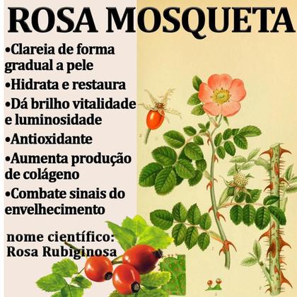 Imagem de Kit 3 Creme Clareador Facial Rosto Rosa Mosqueta 60g