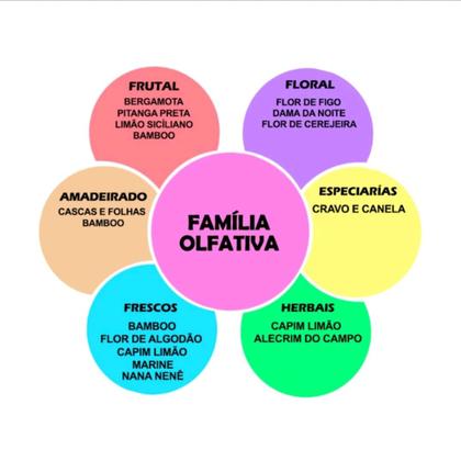 Imagem de Kit 3 Essências Concentrada Para Difusor LAVANDA, BAMBOO, FLOR DE CEREJEIRA,  Aroma e Fragância 10ml