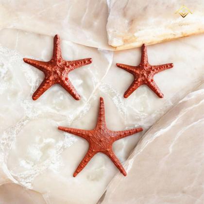 Imagem de Kit 3 Estrelas do Mar Laranja Estilo Boho Chic, Rústico e Tropical VÁRIAS VARIEDADES