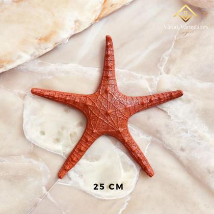 Imagem de Kit 3 Estrelas do Mar Laranja Estilo Boho Chic, Rústico e Tropical VÁRIAS VARIEDADES