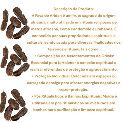 Imagem de Kit 3 Favas De Aridan Africana Original Para Rituais Religiosos
