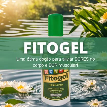 Imagem de Kit 3 Fitogel Gel de Arnica Bélia Combate Dor no Corpo + Gel de arnica Natulife