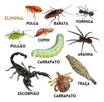 Imagem de KIT 3 Kelldrin Sc 25 Mata Baratas Aranhas Escorpiões Traça Pulga 30ml Inseticida Poderoso Concentrado