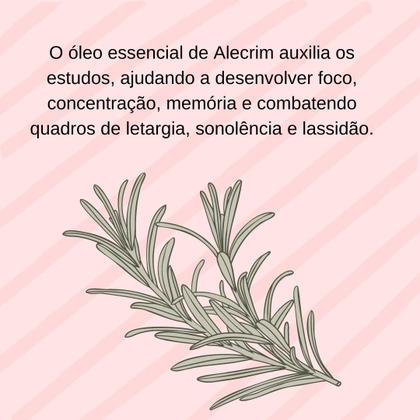 Imagem de Kit 3 óleos essenciais lavanda alecrim hortelã-pimenta 100% puros e naturais