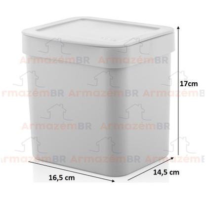 Imagem de Kit 3 Peças Cozinha Lixeira 2,5 Litros Organizador Porta Detergente Rodo Pia - Ou