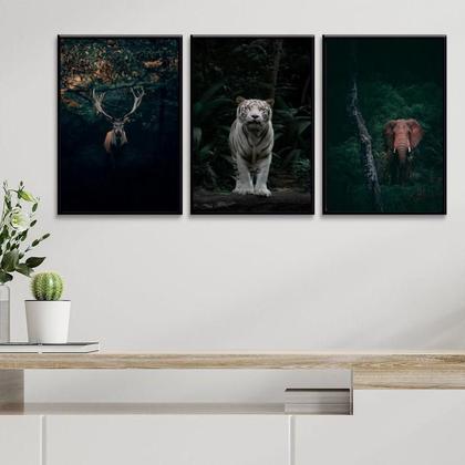 Imagem de Kit 3 Quadros Animais- Vida Selvagem 33X24Cm