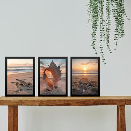 Imagem de Kit 3 Quadros Praia Por Do Sol Conchas Tartaruga 24x18cm