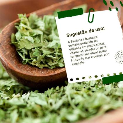 Imagem de Kit 3 Salsa Desidratada 100g Raiz e Sabor