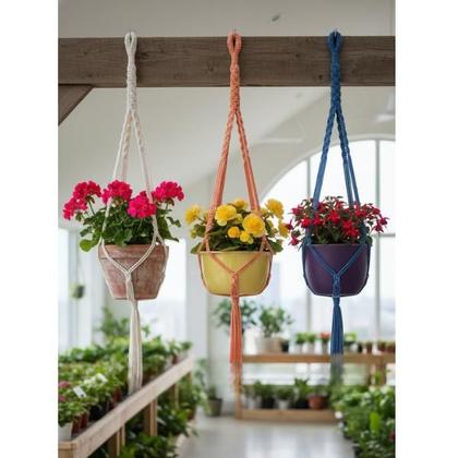 Imagem de Kit 3 Suportes Macramê Pendentes, Arranjos de Cordas Suspenso, Presente Decorativo Artesanal